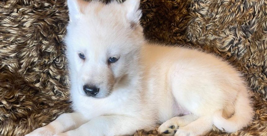 WhatsApp Image 2025-02-26 à 20.15.44_487c8cc4